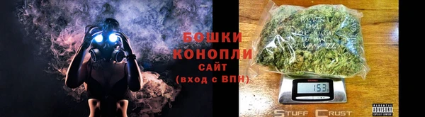шишки Алексин