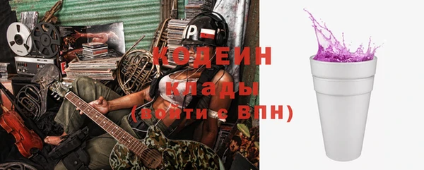 шишки Алексин
